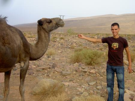 le chament et disere